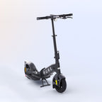 Pure Flex Electric Scooter
